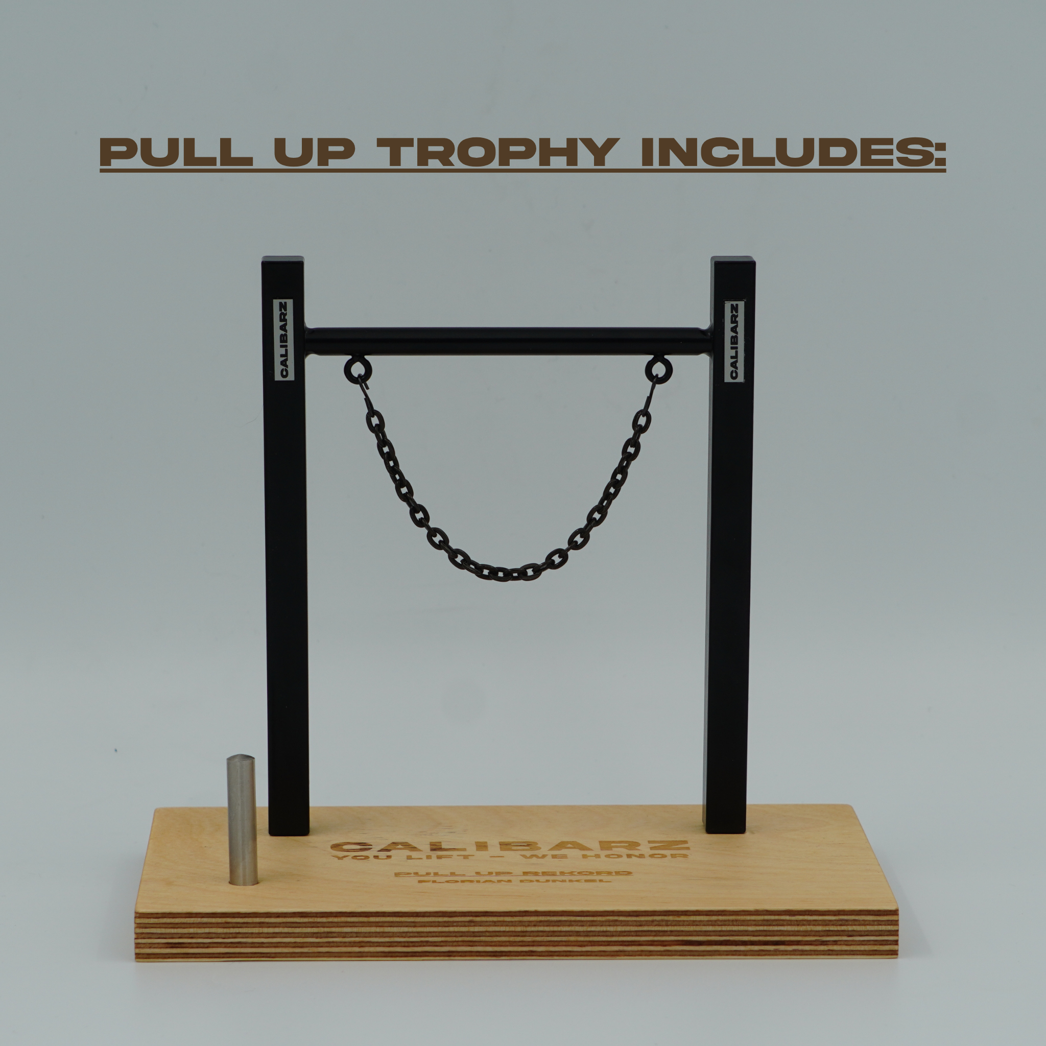PR-Pull Up & Muscle Up Trophy