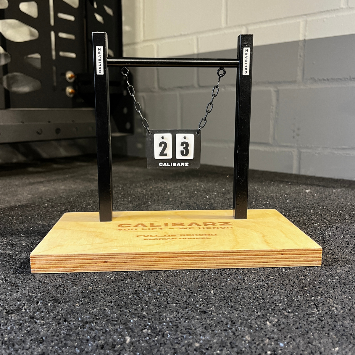 PR-Pull Up & Muscle Up Trophy (Endurance)