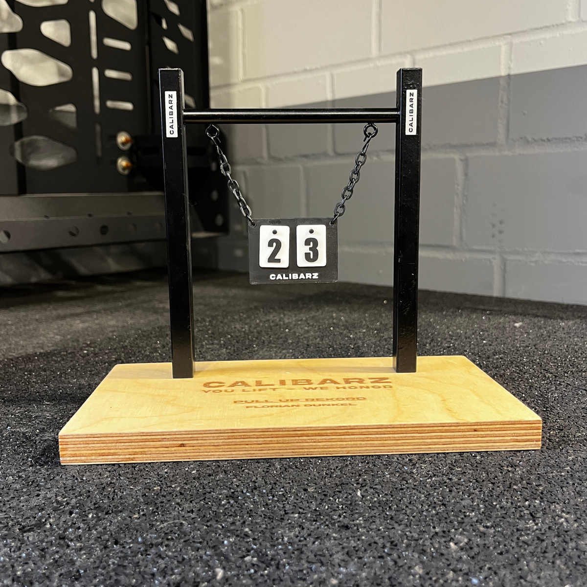 PR-Pull Up & Muscle Up Trophy (Endurance)